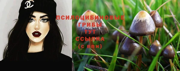 героин Арсеньев