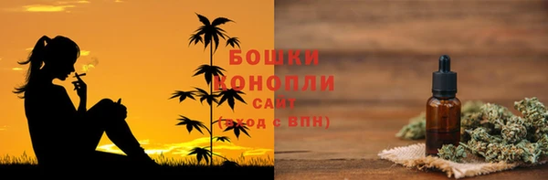 шишки Алексин