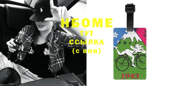 стаф Кодинск